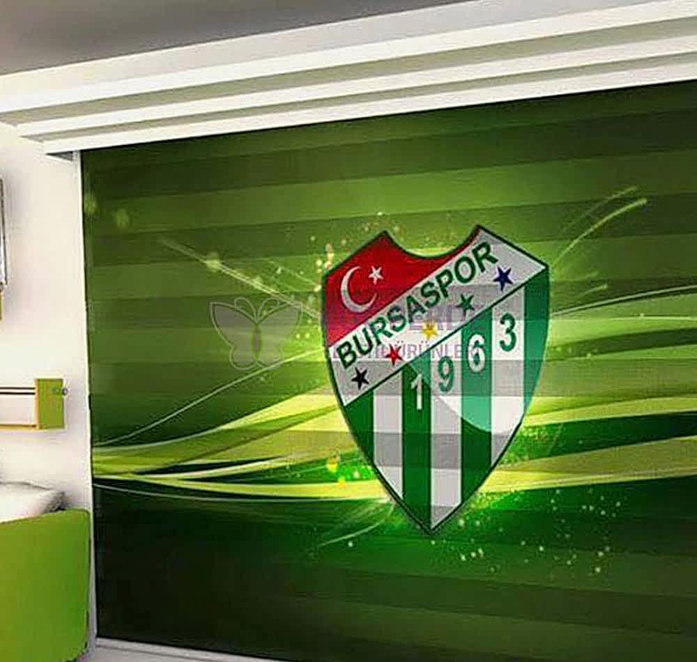 Dijital Baskı Zebra Perde 4