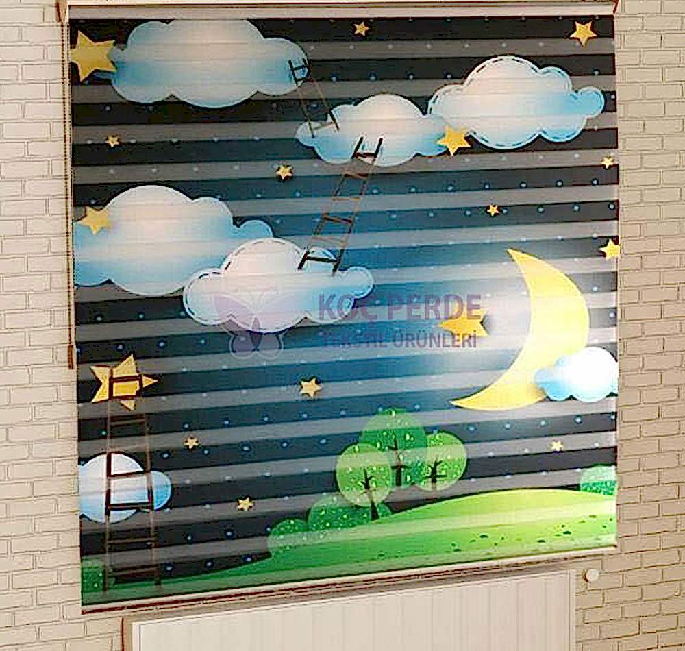 Dijital Baskı Zebra Perde 6