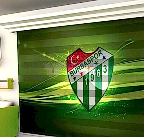 Dijital Baskı Zebra Perde 4